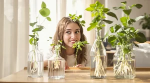 Je ne replante plus mes boutures : cette astuce à moins de 15 € crée un jardin d’intérieur sans terreau