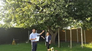 Mon voisin peut-il m’obliger à couper un arbre de mon jardin ? Ce que dit vraiment la loi