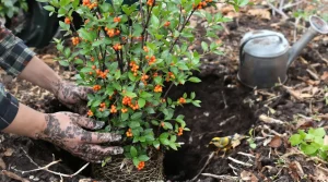 Plantée en mars, cette plante attire des tas d’oiseaux dans votre jardin : voici pourquoi