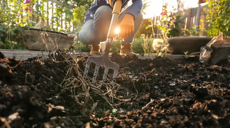 Avant de planter vos fleurs, faites cette tâche simple : elle change tout pour un massif fleuri